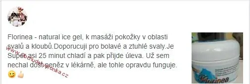 Florinea Natural Ice Gel na klouby 200ml