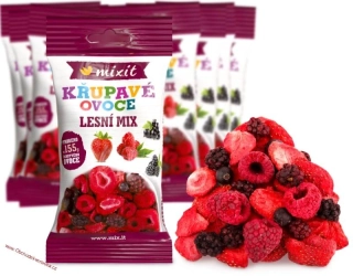 Křupavé ovoce do kapsy - Lesní mix 15g