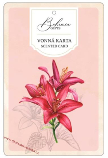 Aromatická karta velká 10,5 x 16 cm – Červené květiny